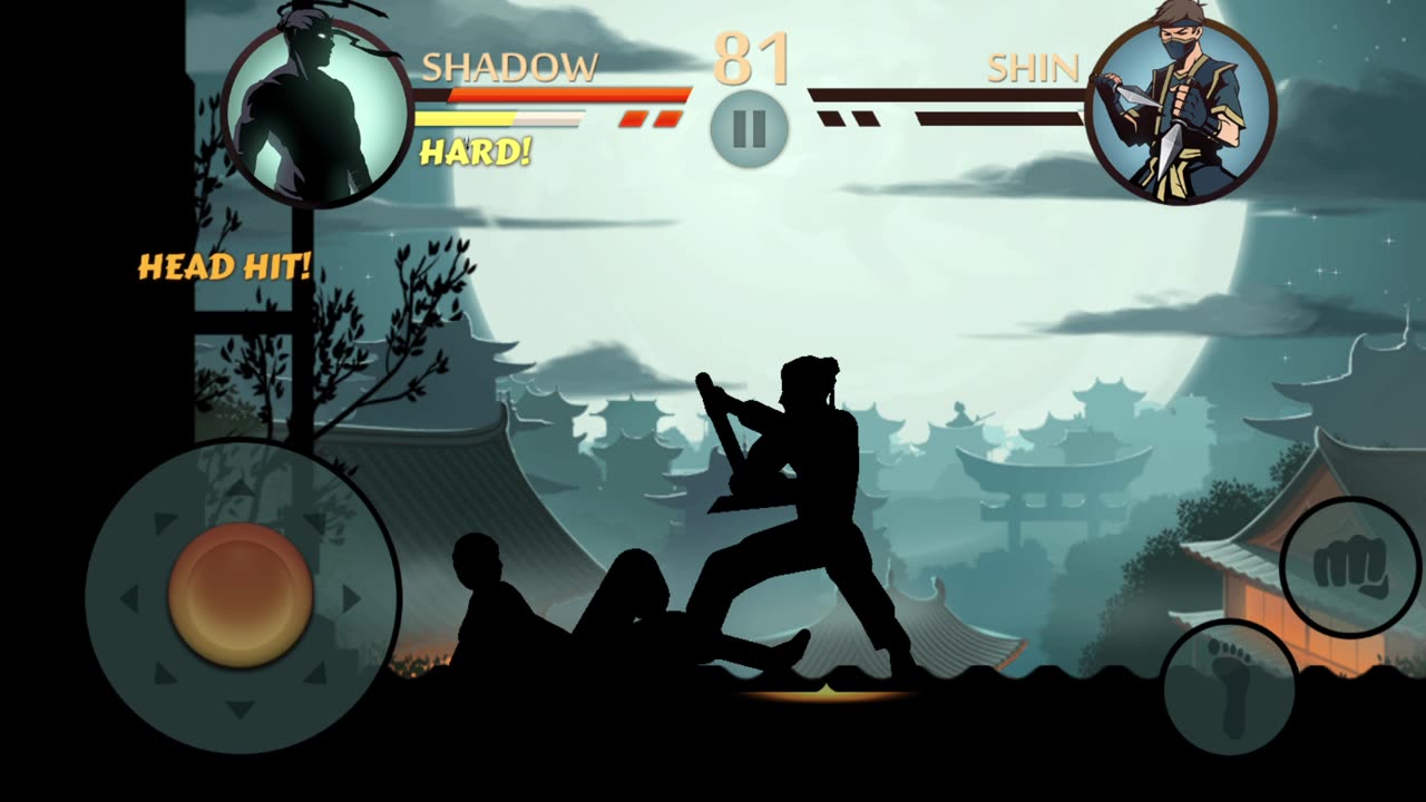 Shadow fight beginning