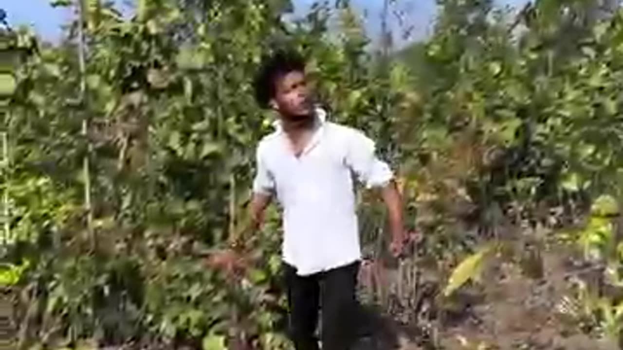 Dande ge dande ge comedy 😂 full comedy