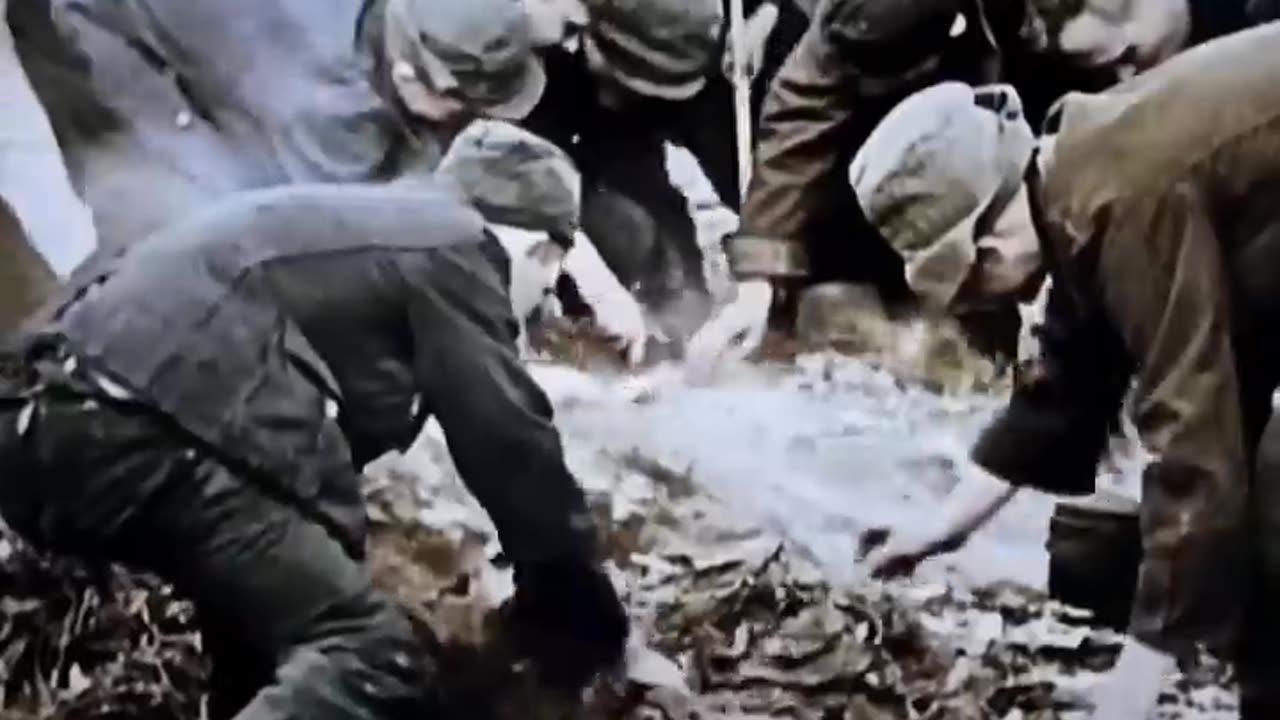 ⚠️￼for Education purposes only⚠️ #country #ww2 #germany #war