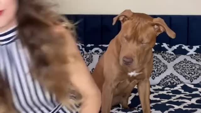 Such a good dog 😅😅