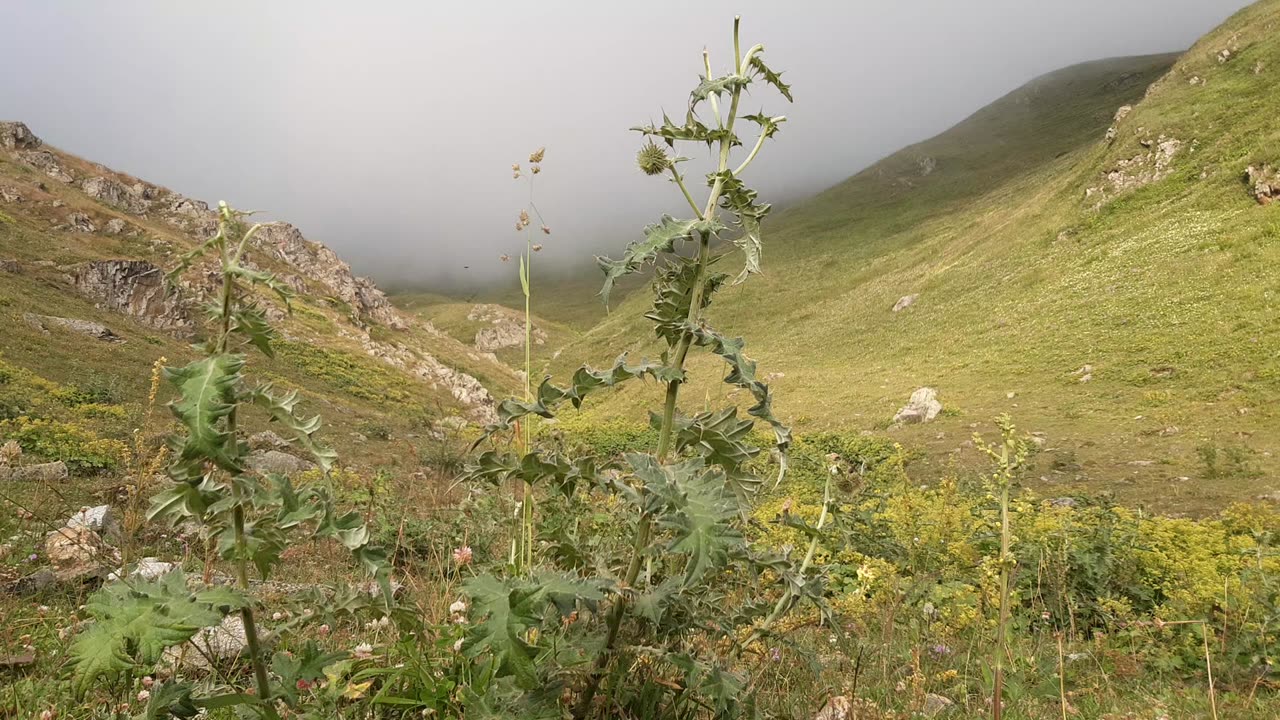 A part of the unique views of the plateau 3