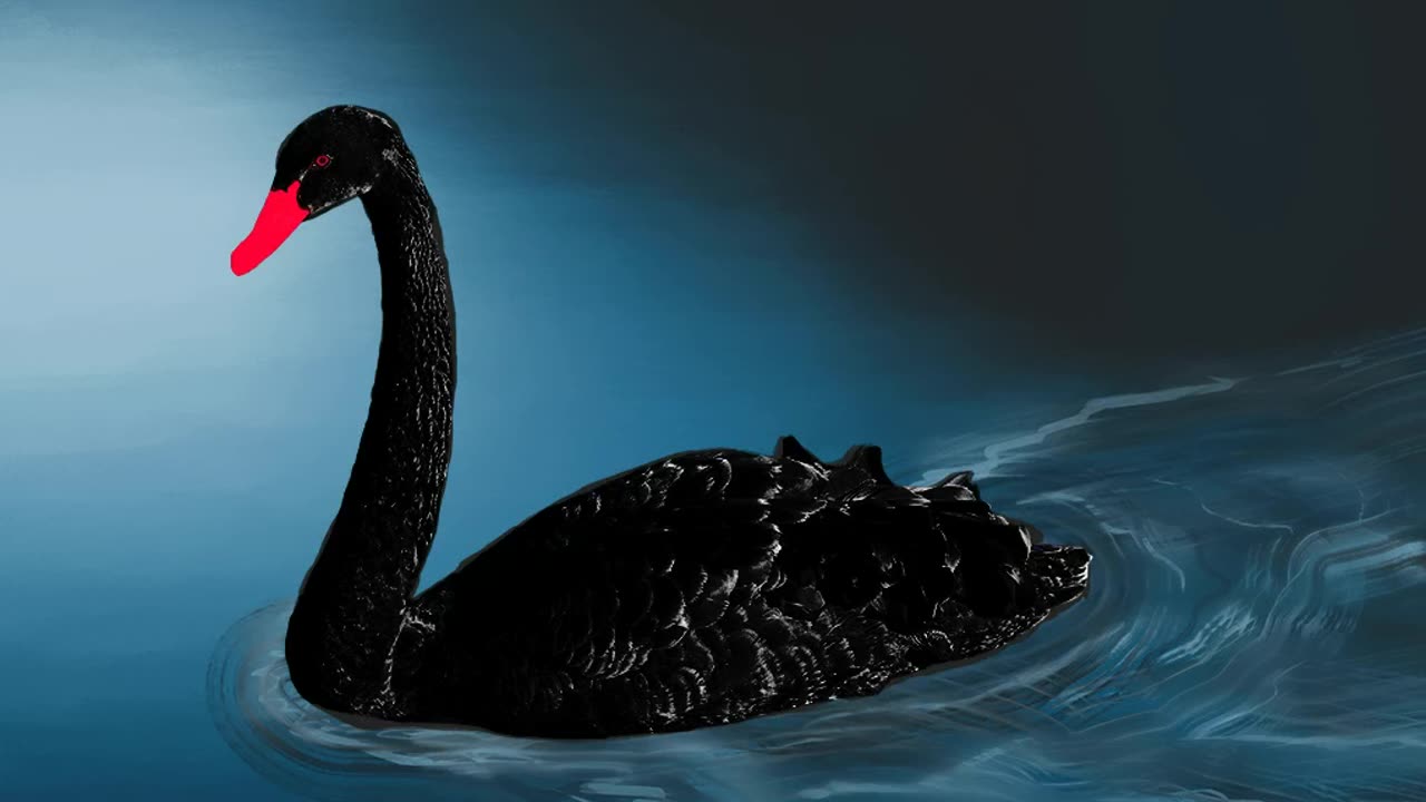 My Alternative New Year Message