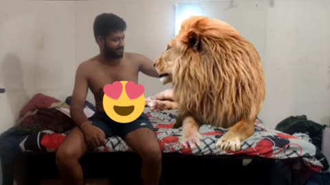 Lion Funny video