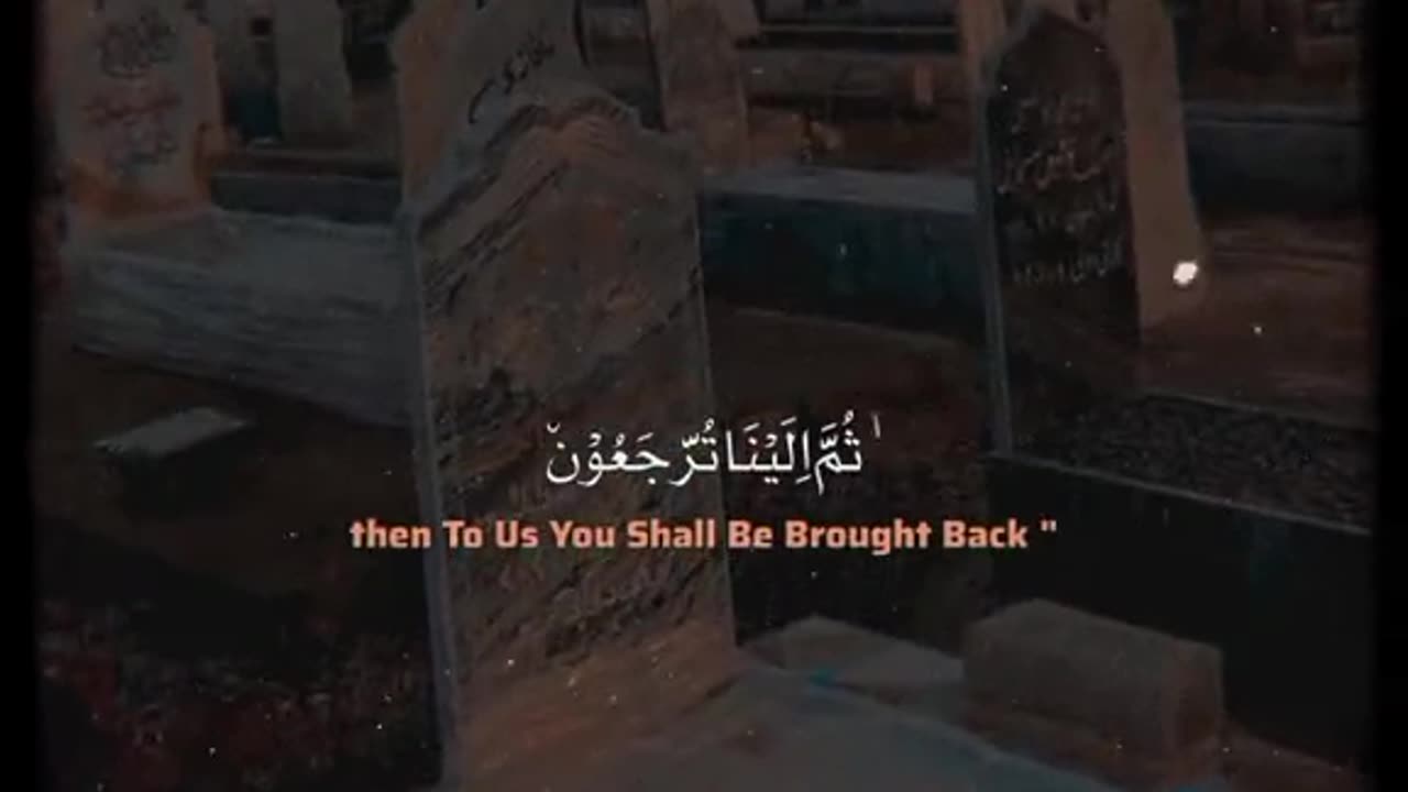In the grave after the death ! 🥺