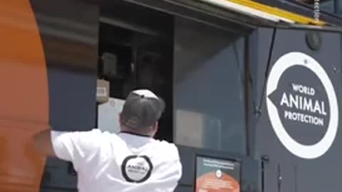 World Animal Protection Gives Away Free Food to Encou