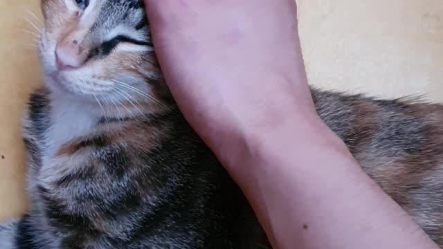 I'll touch it for you.