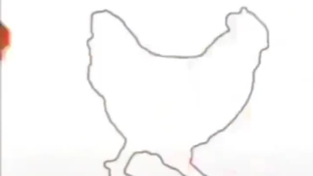 Stop the chicken