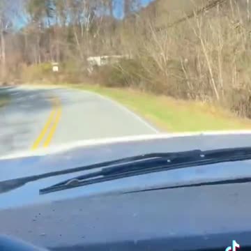 Cruising Into 2024 Like: