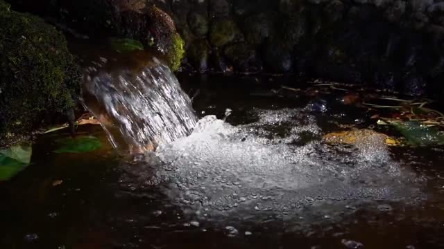 4K and Full HD - NATURE, WATER AND BIRD SOUND