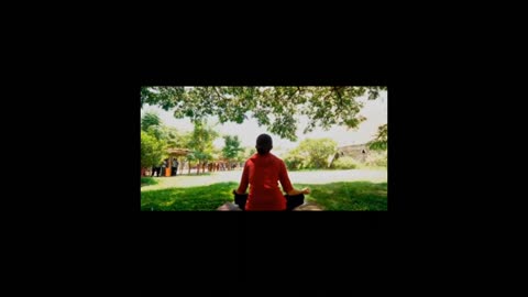 Relaxing Music | Sleeping, Meditation, Stress Relief | [1707] ⭐️