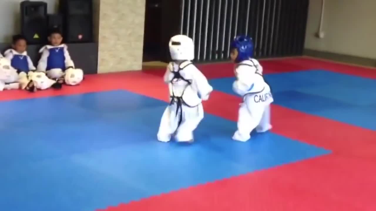 Aww! Adorable 3 years old baby Taekwondo fight |