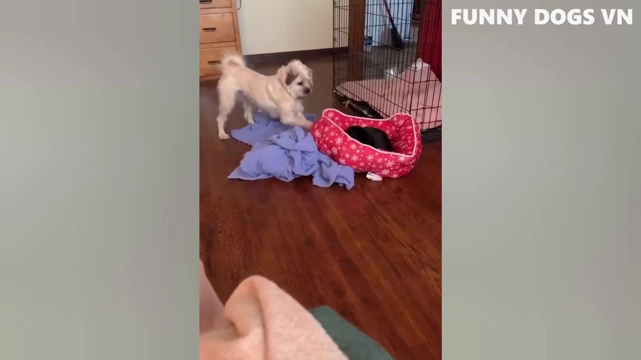 Too angry. Get up and play. Don't sleep again