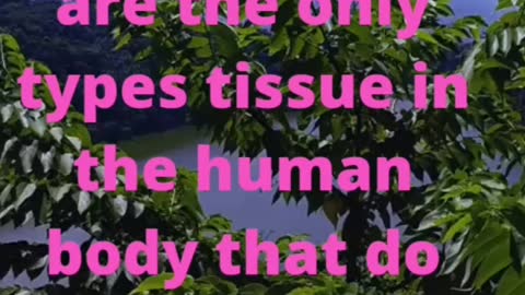 Facts, do you know, factology, amusing facts interesting facts