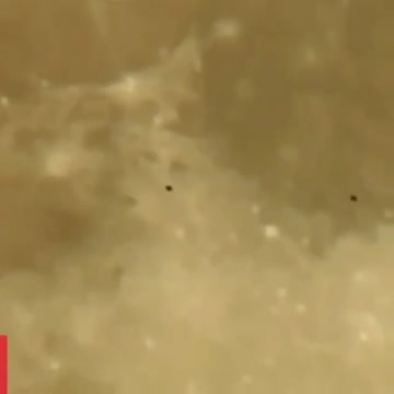 UFO fleet on the moon