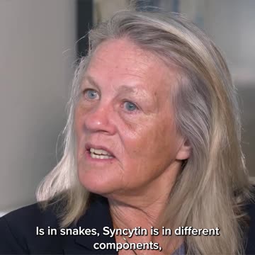 Dr. Judy Mikovits, Phd.