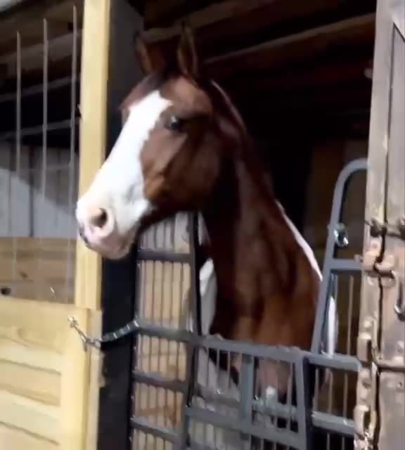 Love at first sight? 😊