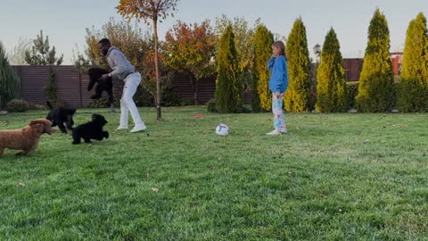 Man and Girl Playing With Dogs in Yard