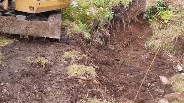 Job explains dreanasje