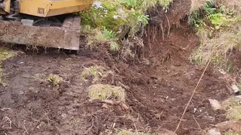 Job explains dreanasje