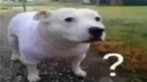 huh