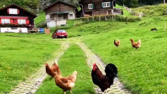 Switzerland is the heaven on Earth