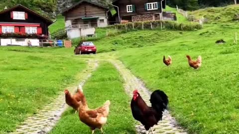 Switzerland is the heaven on Earth