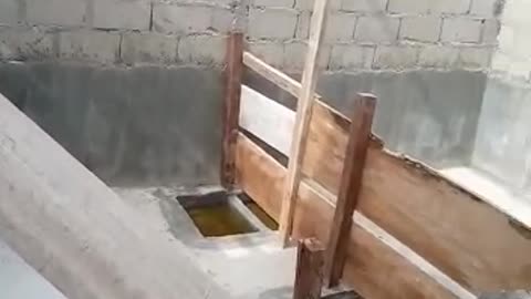 The pigsty in Africa