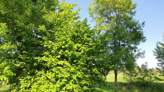 Immersi nella natura...o quasi