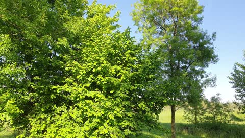 Immersi nella natura...o quasi