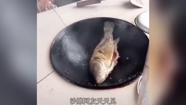 Brave fishies are not afraid of cooking