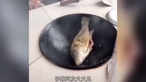 Brave fishies are not afraid of cooking