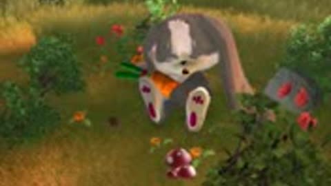 Funny Bunny )