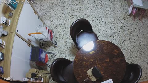 hallmid day n night 20220303