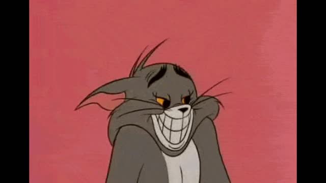 Gif video of disguised cat