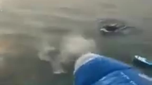 funniest video short videowhatsapp statusfunny video15 second video