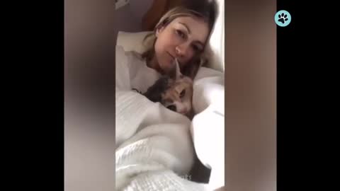 Funny Animals Reacting to Food - Best Animal Videos - Best Of The 2022 Funny Animal Videos