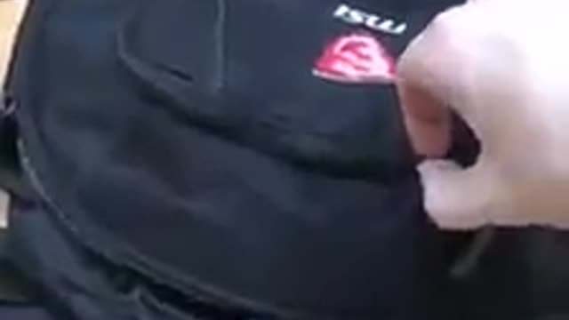 Snakes in a bag