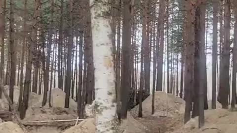 Inside Abandoned Russian Position