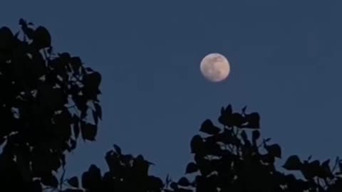 Moon is alone but still shine