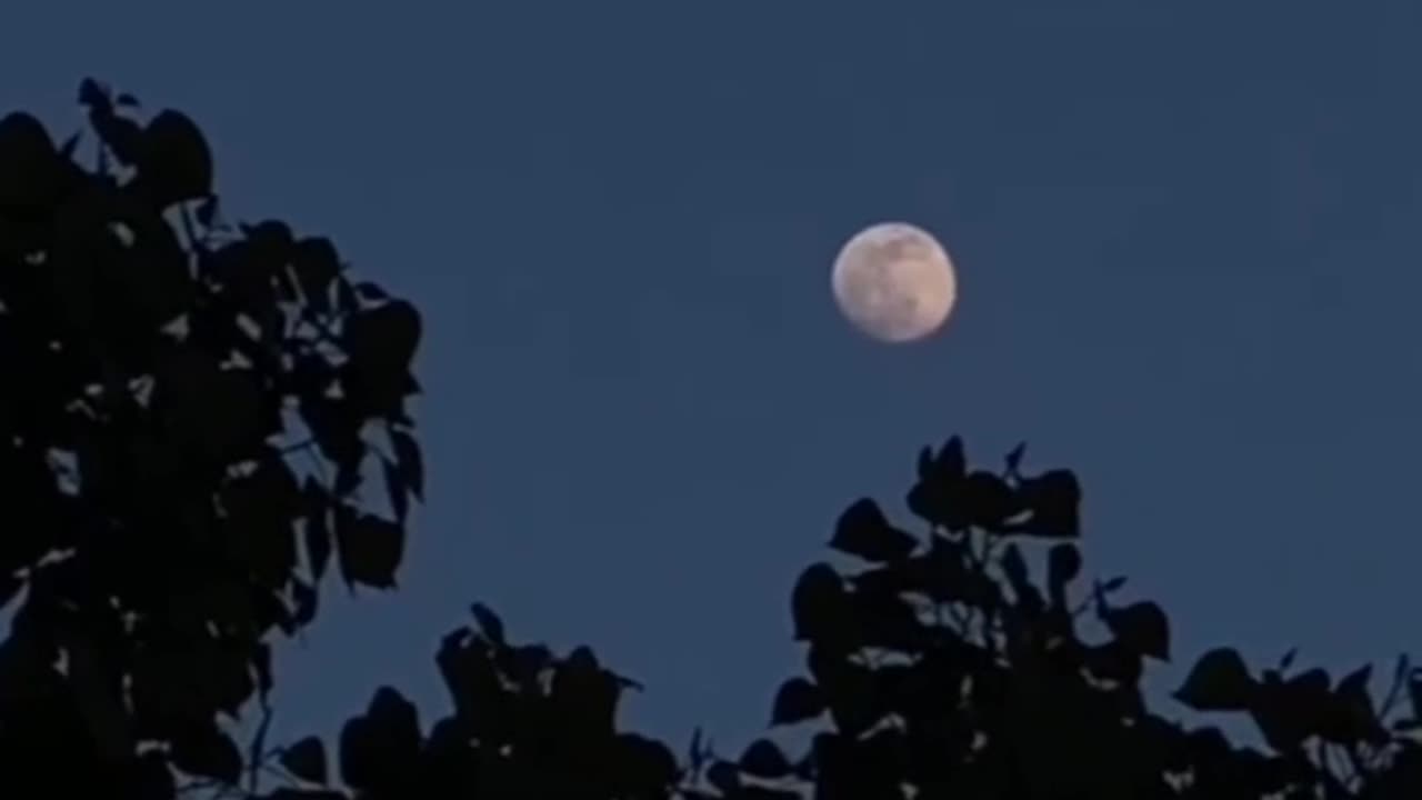 Moon is alone but still shine