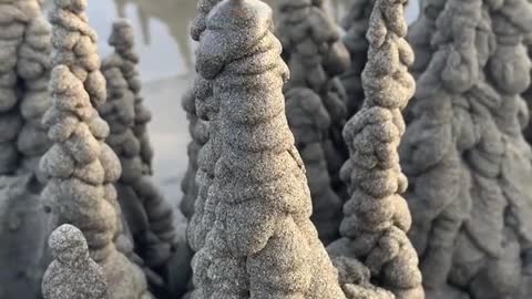 Sandcastle Ideas