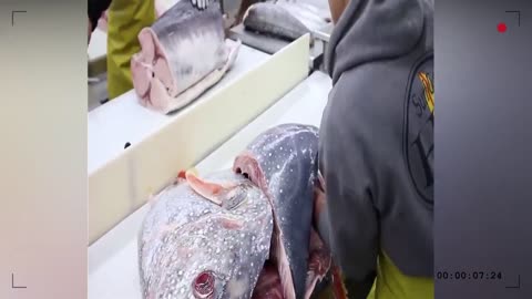 All Biggest Fish cutting।Fast Fish cutting Arabian Ways