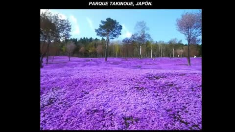 los paisajes mas hermosos del mundo