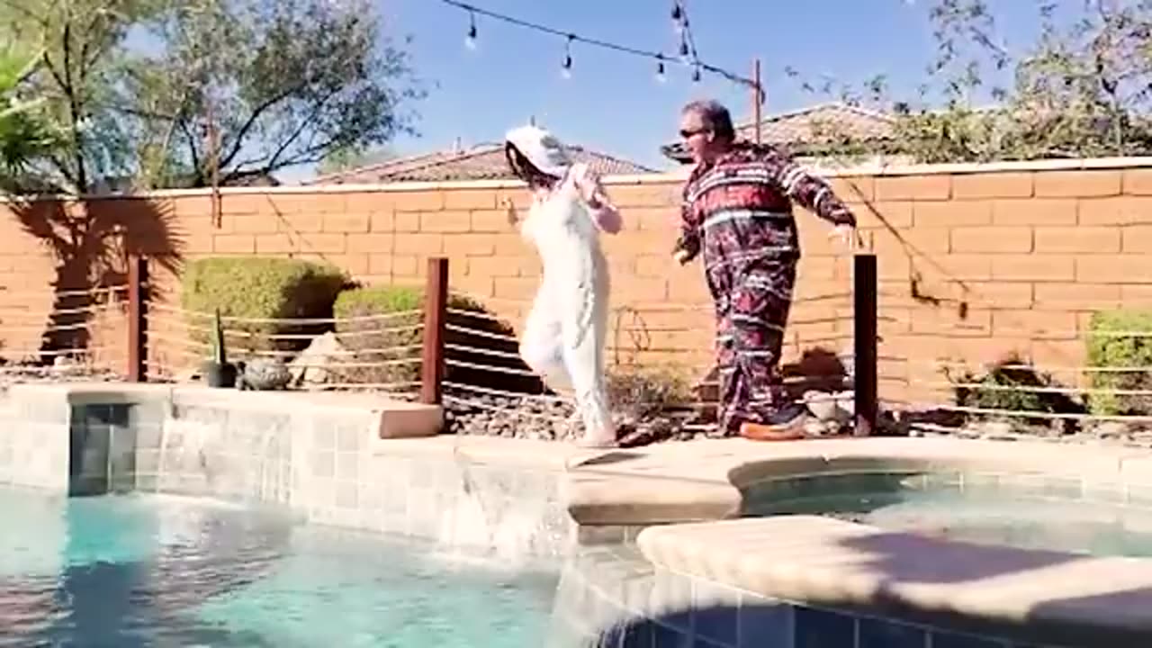 Funny videos