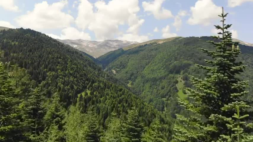 Copyright free video footage Free Stock footage Free Commercial footage Free to use (12)