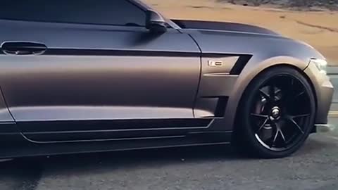 Dodge Muscles