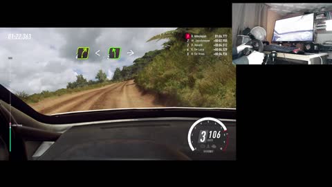 Dirt Rally 2.0 - Peugeot 208 R2 - Nowa Zelandia SS 1