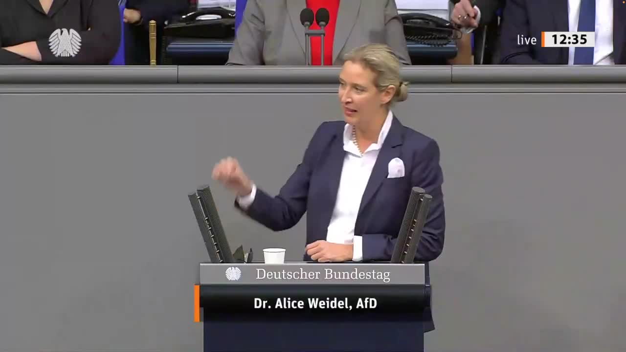 Rundumschlag von Alice Weidel im BT 07. DEZ '21 - gespiegelt