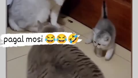 Mother crazy aunty fight