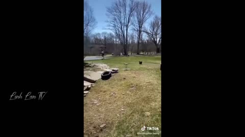 People and Animals Being Funny!!
